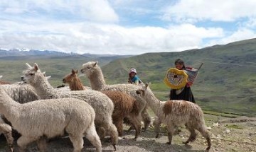 Ausangate shepherds